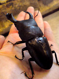 070609_1906~01.jpg