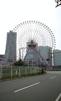 080528_1454~0001.jpg