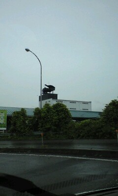 080603_1250~0001.jpg