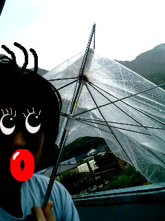 taifu.jpg